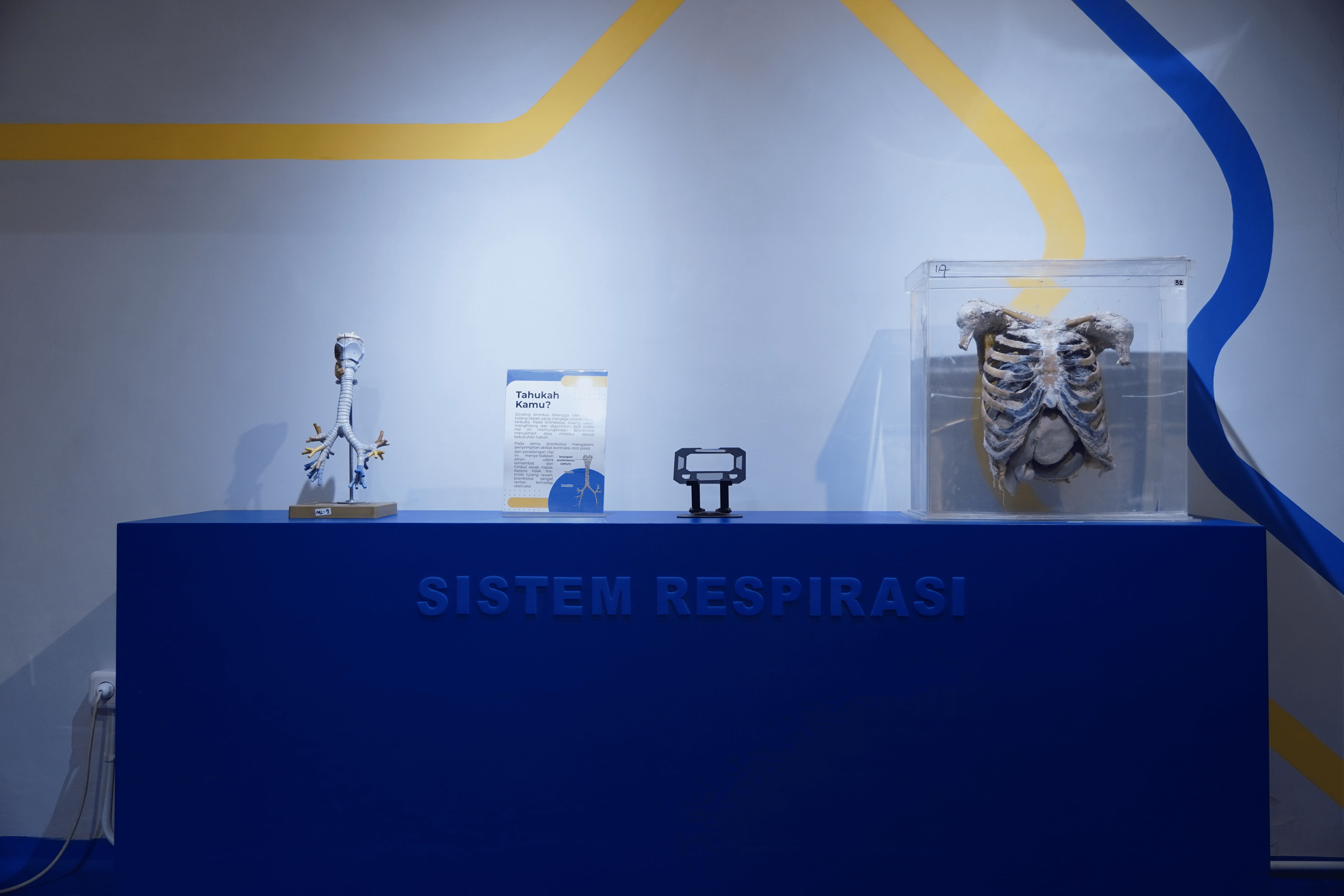 Foto Respirasi